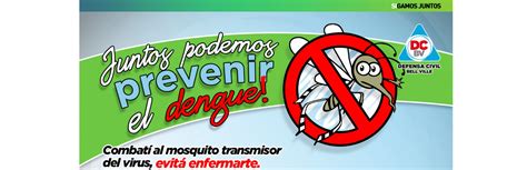 Se Reiteran Recomendaciones Para Prevenir El Dengue Municipalidad De