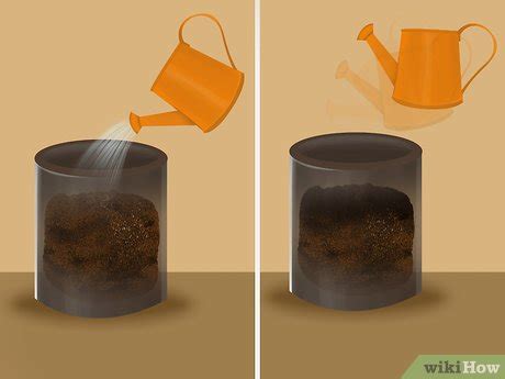 How to Compost Dog Poop: 7 Steps (with Pictures) - wikiHow