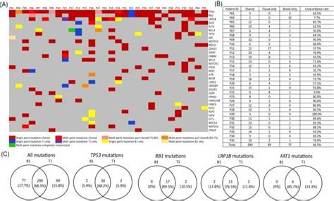 Mutational Concordance Between Tumor Dna And Ctdna Sequencing A