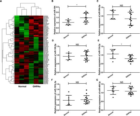 Hierarchical Clustering And RT QPCR Analysis Validation Of