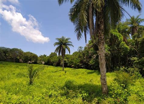 Espectacular Terreno En Venta En El Jobo Tuxtla Gutierrez Chiapas