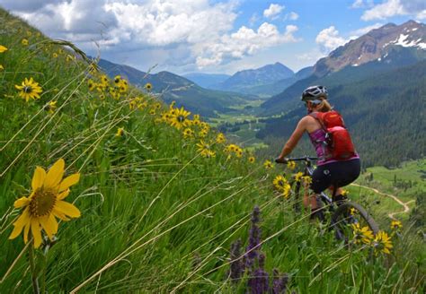 Crested Butte Mountain Biking Guide