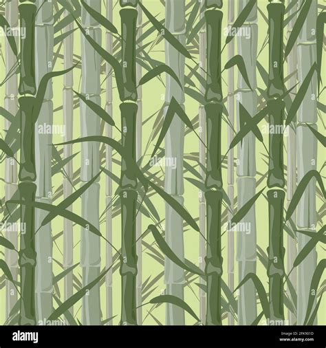 Bamboo forest. Monochrome seamless pattern. Vector illustration on ...