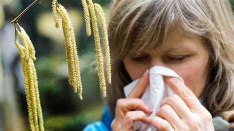 Allergien Wenn Das Immunsystem Verr Ckt Spielt Web De