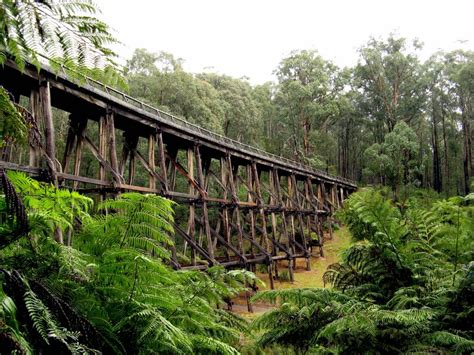 Wooden Trestle Bridge - The Architect