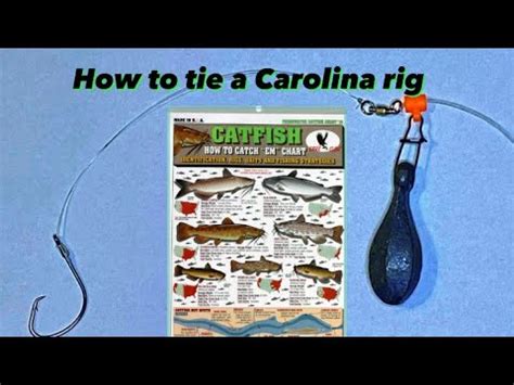 Do You Know How To Tie A Carolina Rig YouTube