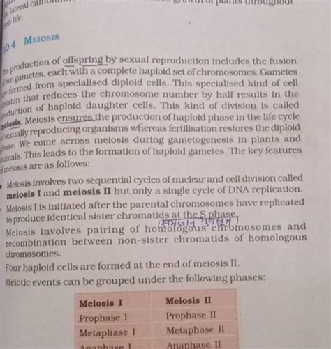 production of offspring by sexual reproduction includes the fusion nno ga..