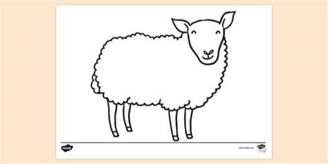 FREE! - Sheep Colouring Sheet | Colouring Pages