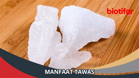 manfaat tawas kegunaan luar biasa  bahan alami  biotifor