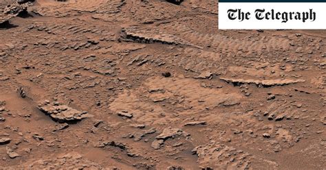 This Nasa Rover Photo Raises Hopes Of Finding Alien Life On Mars