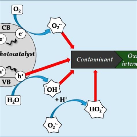 Classification Of Recalcitrant Organic Pollutants Download Scientific Diagram