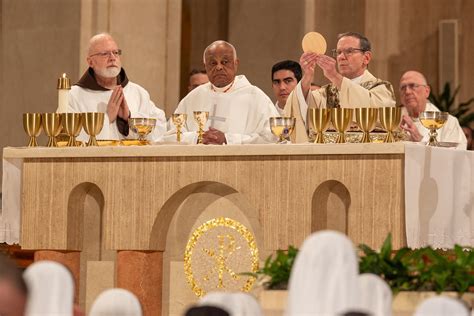 Con Cristo en el centro los esfuerzos provida perseverarán dice el