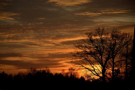 Free Images Landscape Tree Nature Horizon Light Cloud Sunrise