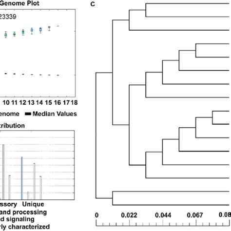 Analysis Of The R Equi Core And Pan Genome A Core And Pan Genome