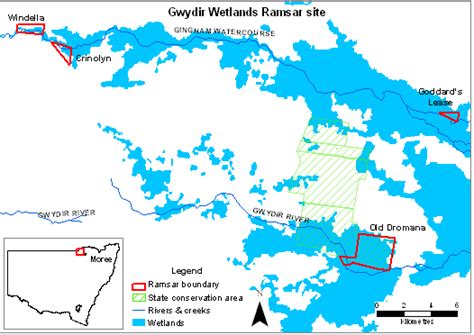 Gwydir Valley Irrigators Association Inc The Gwydir Wetlands