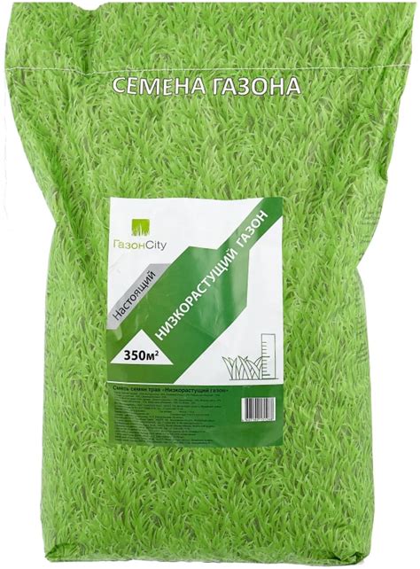 Топ-10 Лучшие семена газонной травы для дачи: рейтинг 2024 года