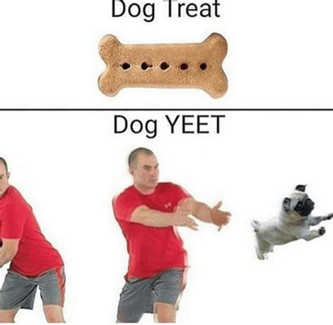 Dog Yeet This Bitch Empty Yeet Know Your Meme