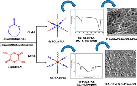 增韧聚（l 丙交酯）共混物：聚（l 丙交酯）和聚（ε 己内酯）的序列控制六臂星形支化嵌段共聚物的有效性acs Omega X Mol