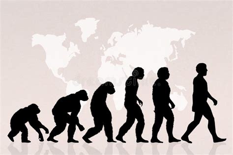 Evolution Of Species