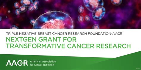 The 2024 Tnbc Foundation Aacr Nextgen Grant For Transformative Cancer Research Oncodaily