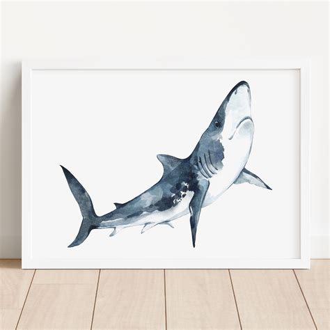 Great White Shark Images For Kids