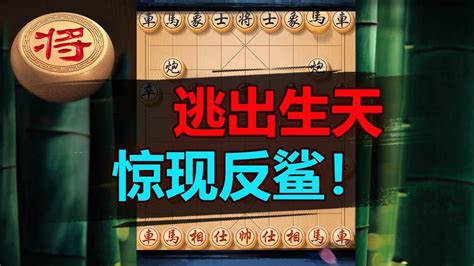 双王对峙天一惊险反鲨 象棋教学 象棋比赛 象棋开局 象棋定式杀法 象棋残局 YouTube