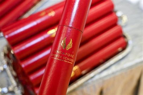 Singapore Police Probing Deepfake Nude Images Of Sports School Students Shared Within Campus