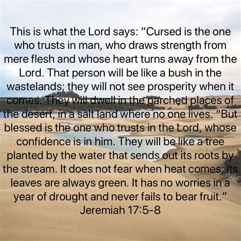 Jeremiah 175 8 This Is What The Lord Says Cursed Is The One Who