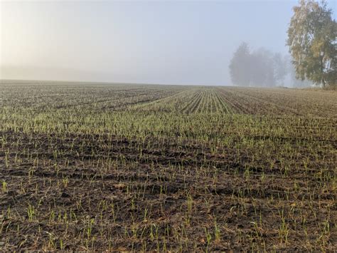 Atrakcyjna dzierżawa KOWR zapowiada przetarg na 117 ha po byłym PGR