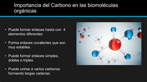 Biomol Culas Org Nicas Carbohidratos L Pidos Prote Nas Cidos