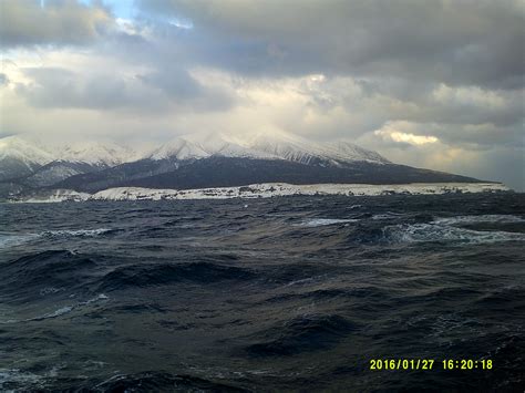 Фото - Дальневосточная рыба | свежий тунец, икра, кета, рыбные консервы ...