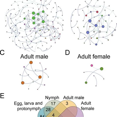 Bacterial Community Across Life Stages Of D Gallinae Microbial Download Scientific Diagram