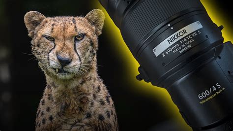 The Nikkor Z Mm F Tc Vr S Is A Photography Predator Youtube