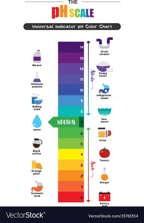 Ph Scale Universal Indicator Ph Color Chart Vector Image