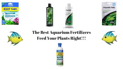 The 8 Best Aquarium Plant Fertilizers Of 2024 [Tested And Reviewed]