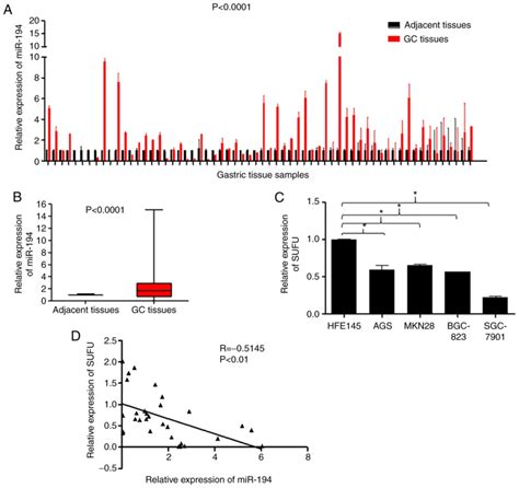 Inhibition Of Mir Suppresses The Wnt Catenin Signalling Pathway