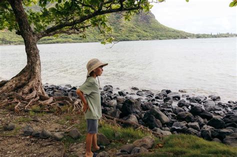 The Best Kept Secret About anonib Hawaii - k1s1f40