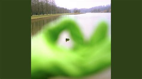 una foresta - YouTube