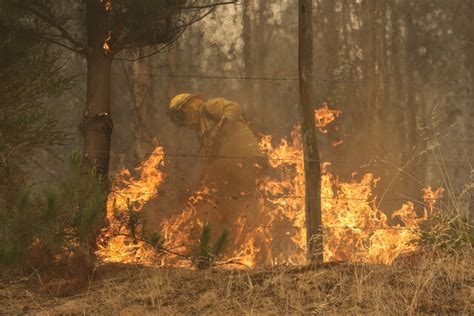 Confirman Muerte Del Primer Brigadista Forestal En Incendios