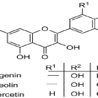 Representative Structure Of Apigenin Luteolin And Quercetin