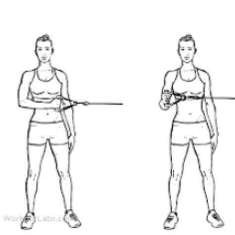 Shoulder External Rotations With Band by Aysel S. - Exercise How-to ...