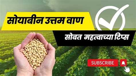 सोयाबीन उत्तम वाण Top 5 Soyabean Variety 2023 Youtube