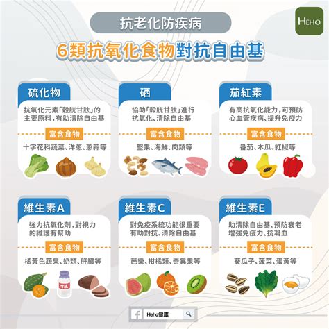 Top 14 什麼食物有自由基？ 2022