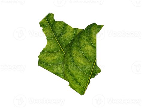 Kenya Map Made Of Green Leaves Ecology Concept 46613519 PNG