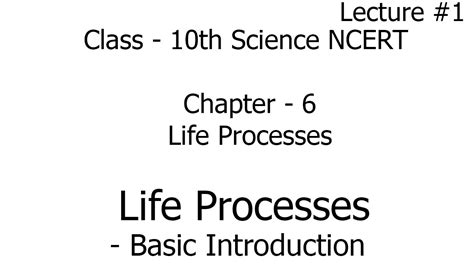 Life Processes Basic Introduction Life Processes Science