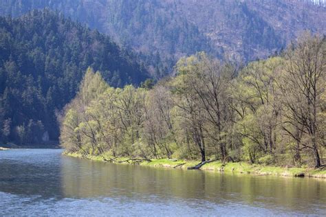 Dunajec River Gorge Bank Of The River Szczawnica Poland Stock Photo