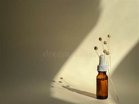 Glass Dropped Bottle With Serum On A Nude Background With Sunlight On It Dried Flower Branch