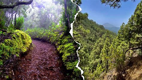 Ruta Circular Barranco Madres Del Agua Tenerife YouTube