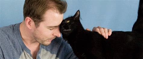 How Cats Say I Love You Cole And Marmalade