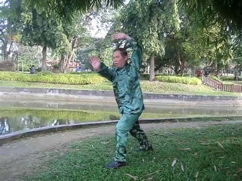 Forma De 24 Movimientos De Tai Chi Chuan Sus Secretos